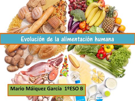 Evoluci N De La Alimentaci N Humana By Amparo Lopez Issuu