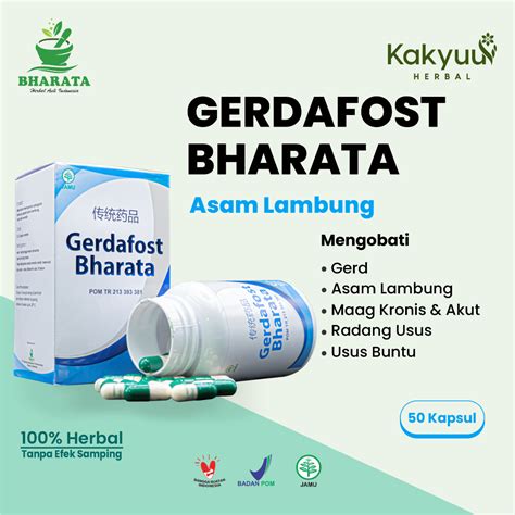 Jual Obat GERD Asam Lambung Maag Kronis Dan Maag Akut Gerdafost