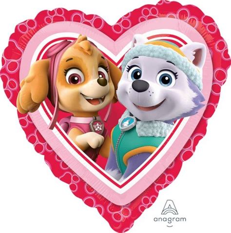 45cm Standard Hx Paw Patrol Love Girl S60 Amscan Asia Pacific