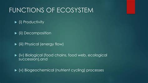 Concept Of Ecosystem Ppt