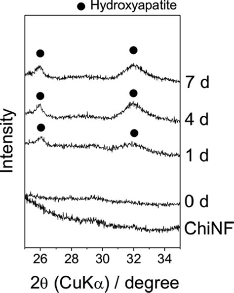 Tf‐xrd Profiles Of The Surfaces Of 10 Wt An1 Chinf Composites After