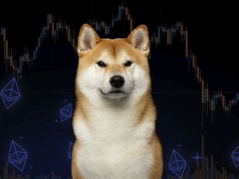 Shiba Inu Becomes Rd Largest Holding Among Ethereum Whales