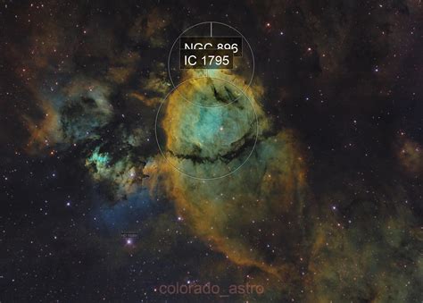 IC 1795 The Fish Head Nebula Tommy Lease AstroBin