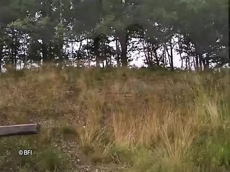 Hot Amateurs From Germany And Austria Amateur Porn By FapHouse XHamster