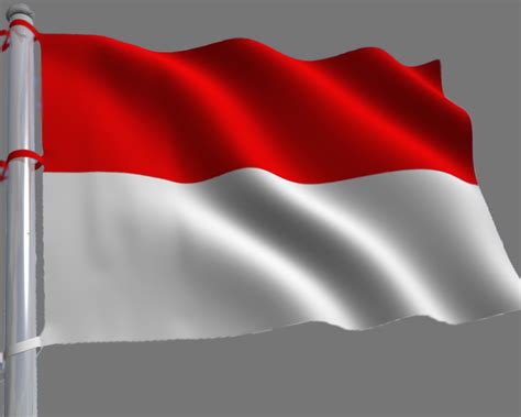 Review tips and tricks game: Makna bendera merah putih