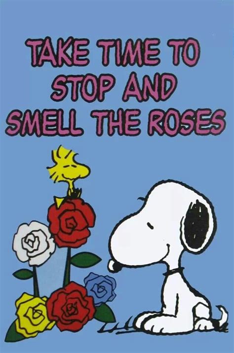 Stop And Smell The Roses Quotes. QuotesGram