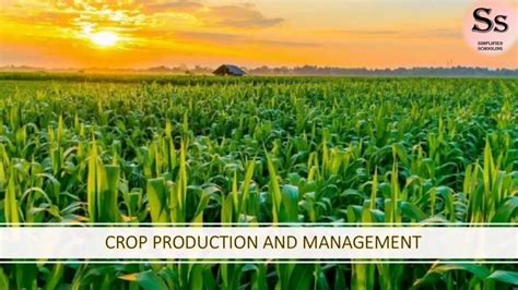 Crop Production And Management Ncert Class 8 Science Chapter 1 Cbse