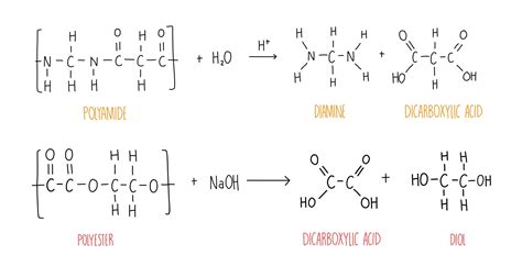 Polyesters And Polyamides The Science Sauce