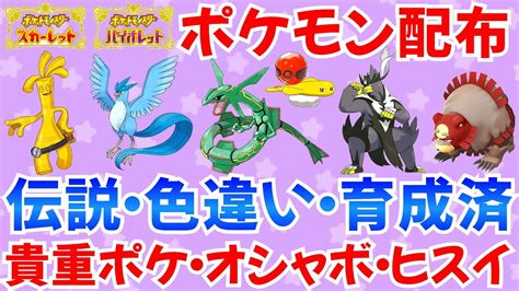 【ポケモンsv】伝説・色違い・wcsシャリタツ抽選あり オシャボ・ヒスイポケモン配布 ライブ ポケモン配布 Youtube