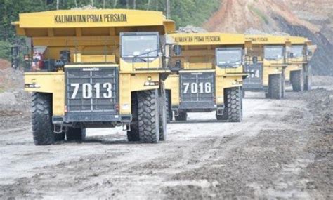 lowongan kerja fresh graduate pt kalimantan prima persada