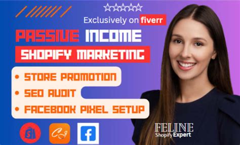 Do Passive Income Shopify Marketing Store Promotion To Boost Traffic