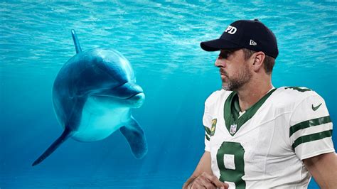 Aaron Rodgers Sets Record Straight On Dolphin Mating Rehab