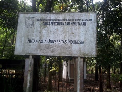 Hutan Ui Homecare