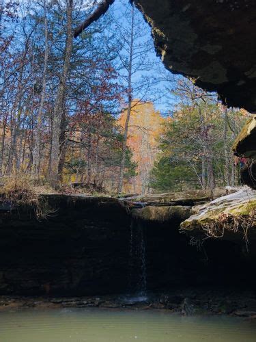 Best Hikes And Trails In Wilderness Rider Buffalo Ranch Alltrails