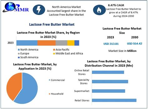 Lactose Free Butter Market Industry Analysis And Forecast 2030