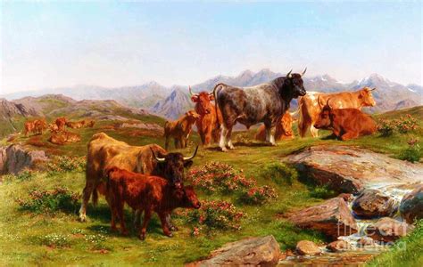 Boeufs Et Taureaux De La Race Du Cantal Painting By Pg Reproductions