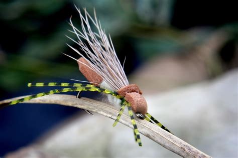 20 best GRASSHOPPER PATTERNS images on Pinterest | Fly tying patterns ...