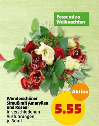 Wunderschöner Strauß Mit Amaryllen Und Rosen Angebot bei Penny