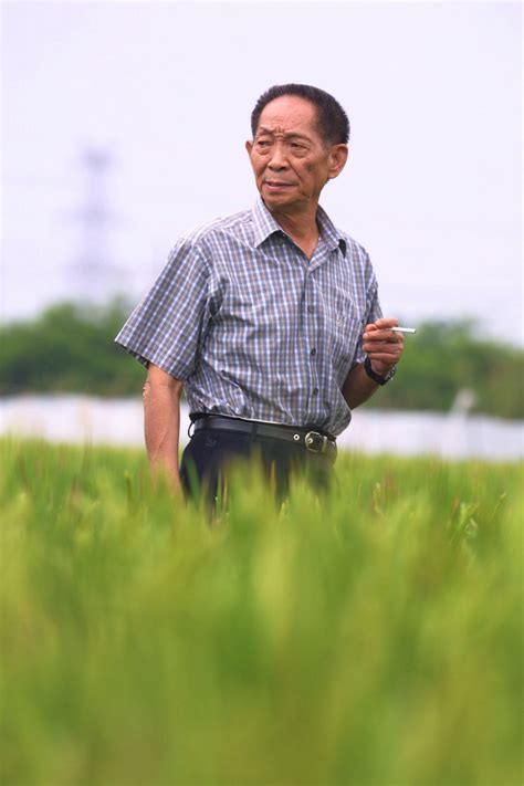 袁隆平的“遗愿”澎湃人物澎湃新闻 The Paper