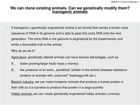 PPT - Animal models and transgenesis in biotechnolgy PowerPoint ...