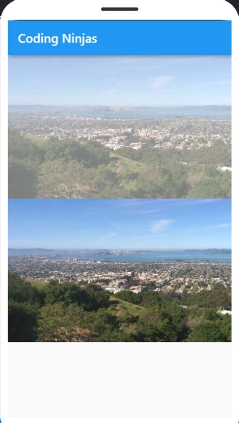 Flutter Opacity Widget Coding Ninjas