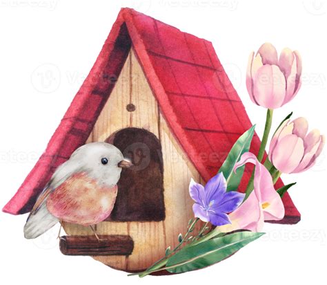 Birdhouse With Spring Flower Watercolor Png