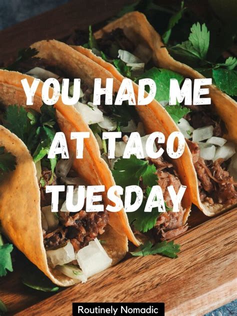 Tasty Taco Captions Routinely Nomadic