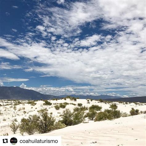 Dunas De Yeso Cuatro Cienegas Coah DriveMexico Roadtrip Outdoor