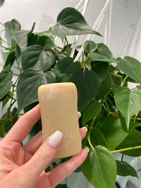 Tea Tree Goat Milk Soap Bend Soap Company