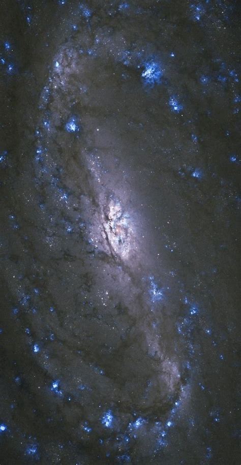 Billions And Billions Thedemon Hauntedworld Ngc 2903 Credit