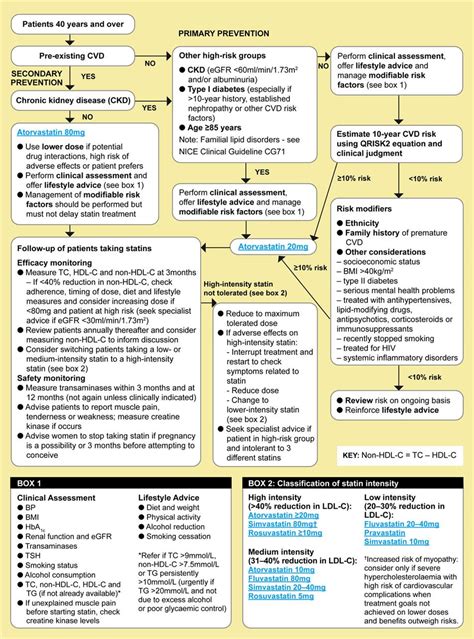 Cardiovascular Disease Risk Assessment And Reduction Including Lipid