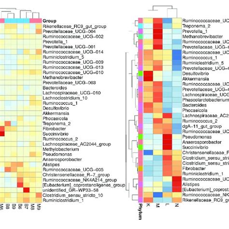 A Heatmap Of Species Abundance Clustering The Heatmap Shows The Download Scientific Diagram