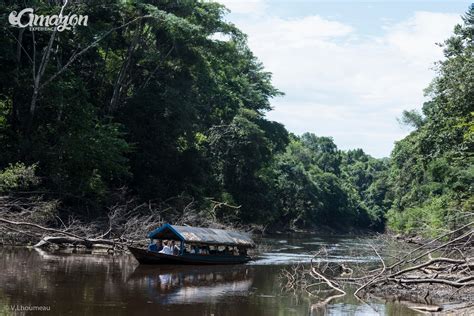 Reserva Nacional Pacaya Samiria Amazon Experience Tours In The