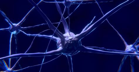 Engrama psicología todo sobre memoria y funcionamiento del cerebro