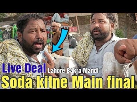 Live Deal Soda Kitne Main Final Hua Kitne Ka Liya Qurbani Ka Mall