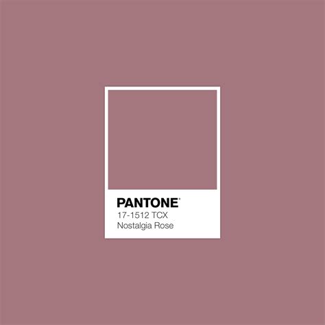 Nostalgia Rose Pantone Color Pantone Colour Palettes Pantone