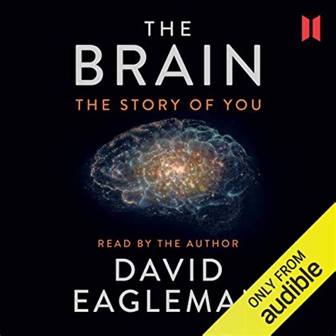 The Brain The Story Of You Audio Download David Eagleman David