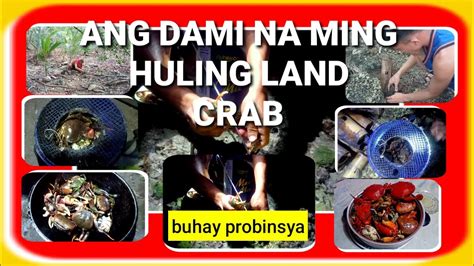 Ang Dami Na Ming Huling Land Crab Naka Huli Kami Ng Alimango Youtube