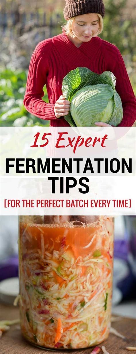 A Set Of 15 Fermentation Tips To Ensure You Successfully Ferment Your Sauerkraut Tip 7