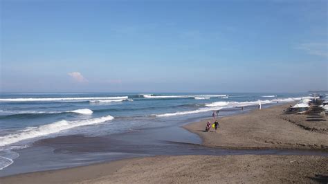 Aerial View Of Canggu Beach With Surf People In Afternoon Stock Video