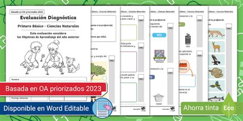 Prueba De Diagn Stico Ciencias Naturales B Sico