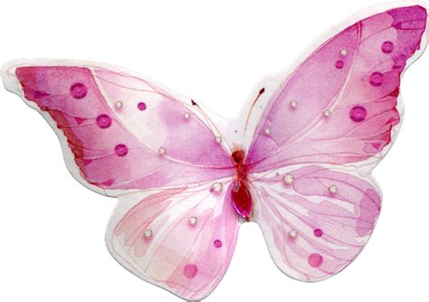 Watercolor Butterfly Png Download Розовые Бабочки Png 800x571 Png