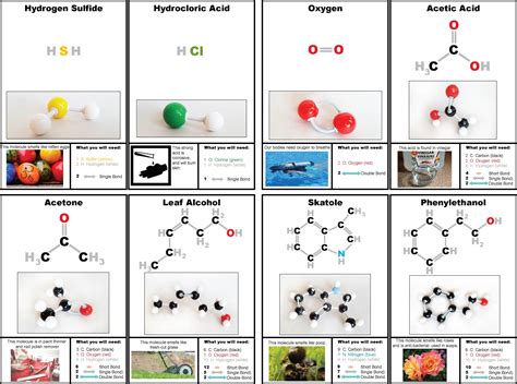 Chemistry Made Fun Building Molecule Models In Molecule Model