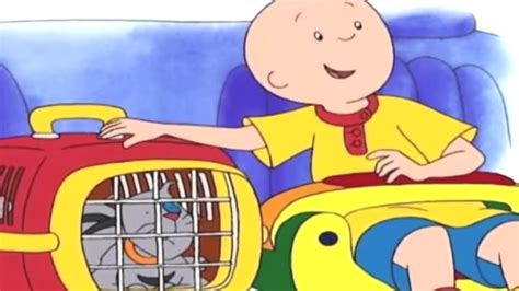 Caillou Türkçe HD Caillou nun Veterinere Gezisi kayu cizgi filmi