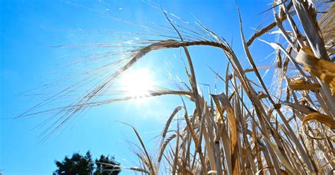 Hitze Und Unwettergefahr Wetter Im Saarland