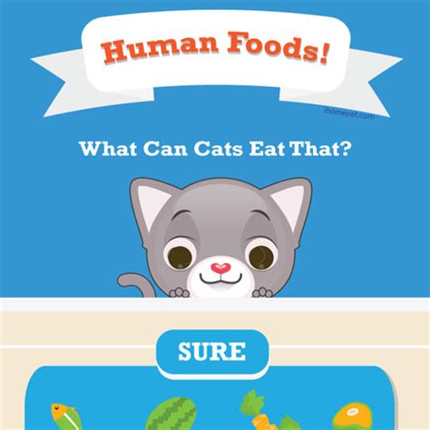 What Can Kittens Eat Besides Cat Food Hot Sale