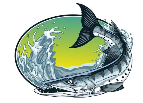 barracuda logo vector art icons  graphics