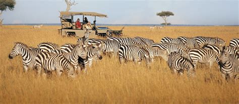 Exclusive Travel Tips for Your Destination Masai Mara in Kenya