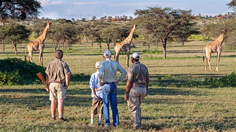 Guided Bush Walks On Tswalu Luxury African Safarissouth America