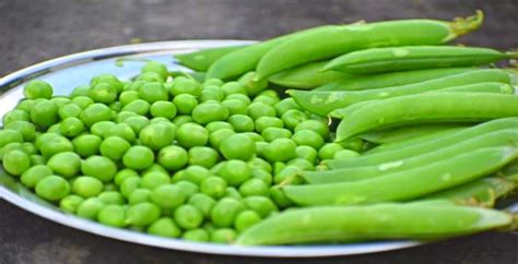 How To Store And Preserve Green Peas For Long Time At Home